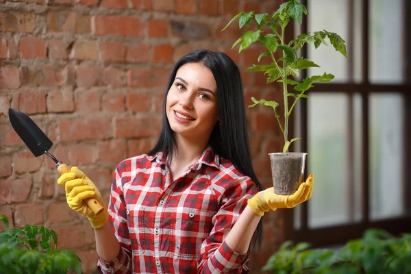 Чарівна молода жінка садівництво — стокове фото
