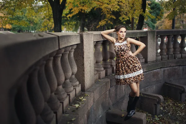 Όμορφη νεαρή κοπέλα σε ένα φόρεμα εκτύπωσης λεοπάρδαλη — Φωτογραφία Αρχείου