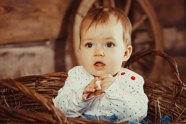 Liten flicka sitter i en flätad korg — Stockfoto