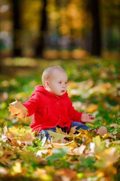 Веселый младенец в красном платье играет с желтыми листьями — стоковое фото