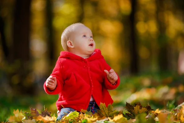 Bebê alegre em um vestido vermelho brincando com folhas amarelas — Fotografia de Stock