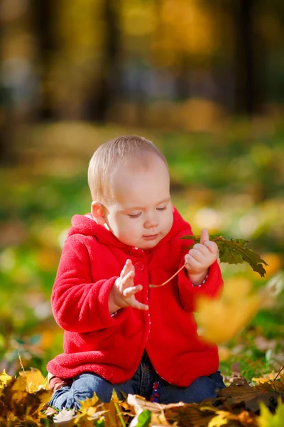 Bebê alegre em um vestido vermelho brincando com folhas amarelas — Fotografia de Stock