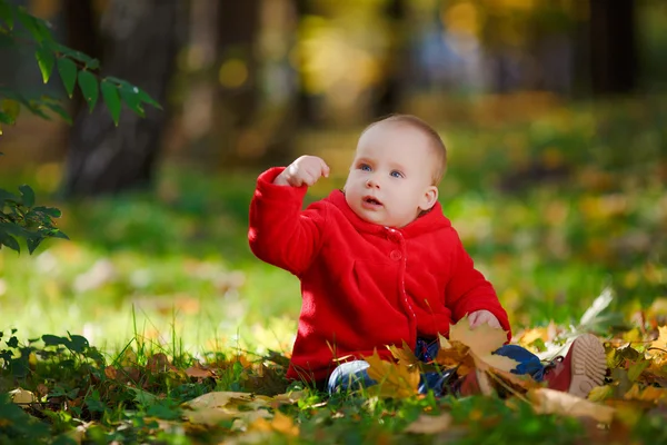 Fröhliches Baby im roten Kleid, das mit gelben Blättern spielt — Stockfoto