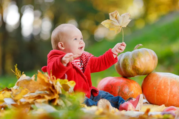 Niño feliz. — Foto de Stock