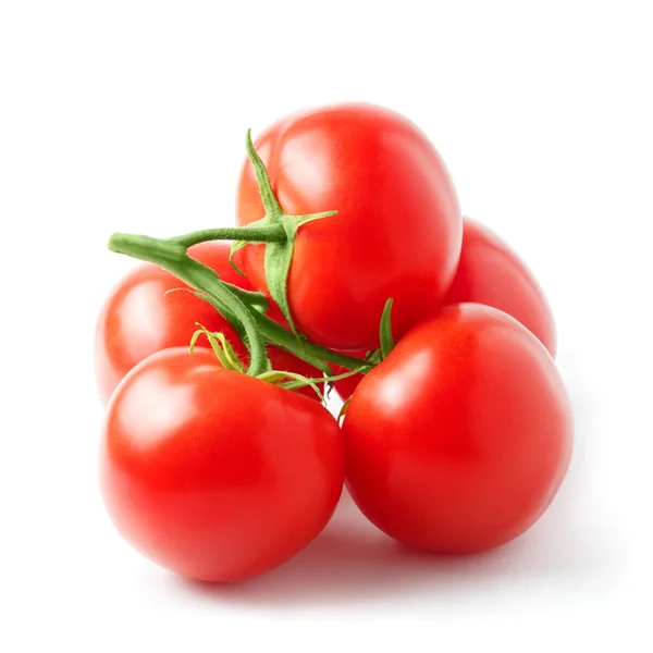 Tomates frescos em uma haste verde — Fotografia de Stock