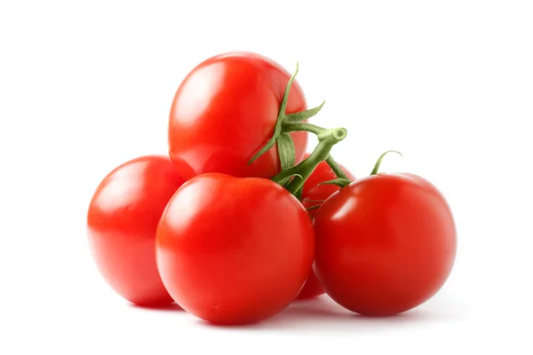 Verse tomaten op een groene stengel — Stockfoto