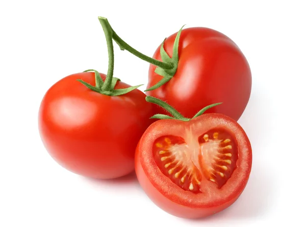 Tomates frescos em uma haste verde — Fotografia de Stock