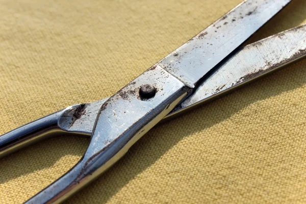 Old silver scissors — Stock Photo, Image