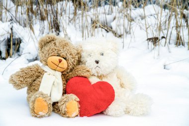 Sevgililer gününde oyuncak ayılar