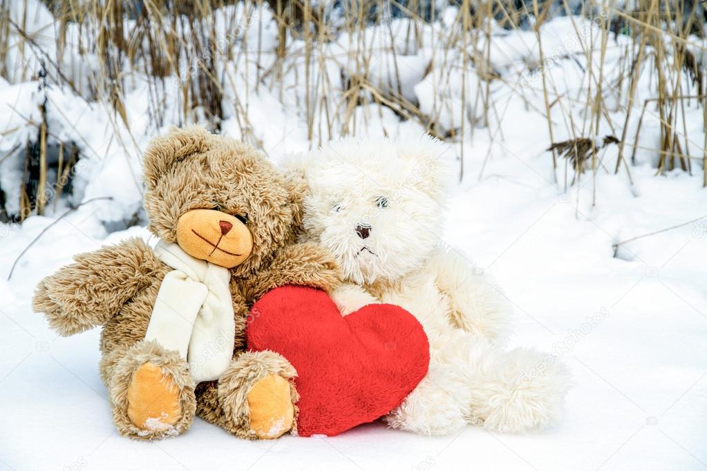 Teddy Bears on Valentine's Day
