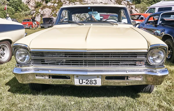 Fron of the classic car in yellow cream — Stock Photo, Image