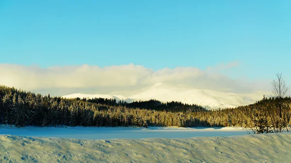 Schneebedeckte Berghänge — Stockfoto