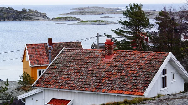 Antigas telhas vermelhas cobertas com musgo — Fotografia de Stock