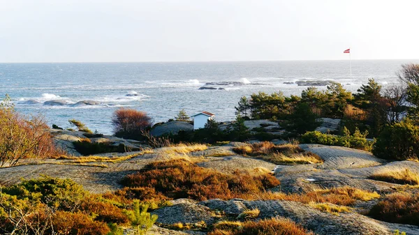 Klippiga kust täckt av vegetation — Stockfoto