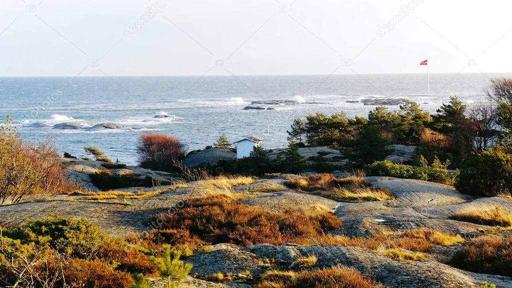 Rocky coast covered with vegetation