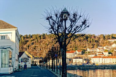 Limanda boş asfalt yolda