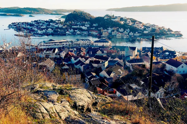 Insel im Fjord — Stockfoto