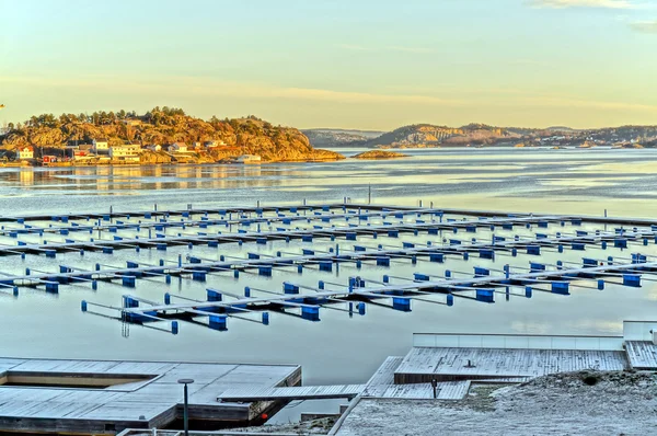 Winters aanblik van een lege dock voor boten — Stockfoto