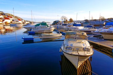 Tekneler limanda frost ile kaplı