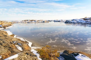 Bay Beyaz çizikler ile buz levha