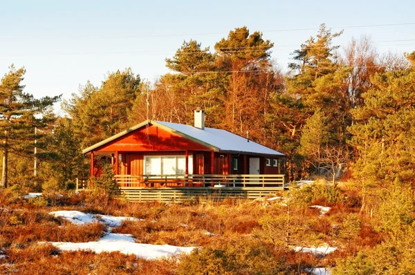 Rode cottage onder Noorse sparren en dennen bomen in de winter — Stockfoto