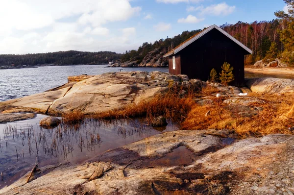 Met gras begroeide rotskust over fjord — Stockfoto