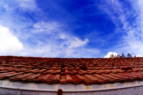 Szary dach porośnięty mech — Zdjęcie stockowe