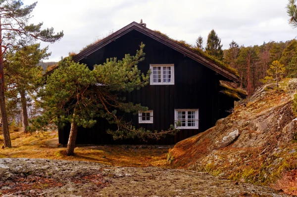 Letni domek drewniany z trawą na dachu — Zdjęcie stockowe