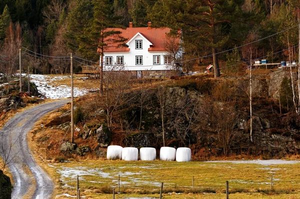 Norwegian farm in forest — Stock Photo, Image