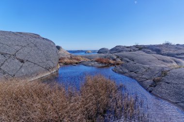 Çalılıkları deniz kıyısında kuru ot