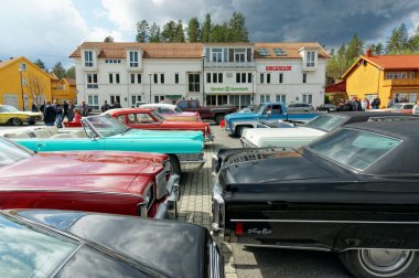 Renkli araba organları