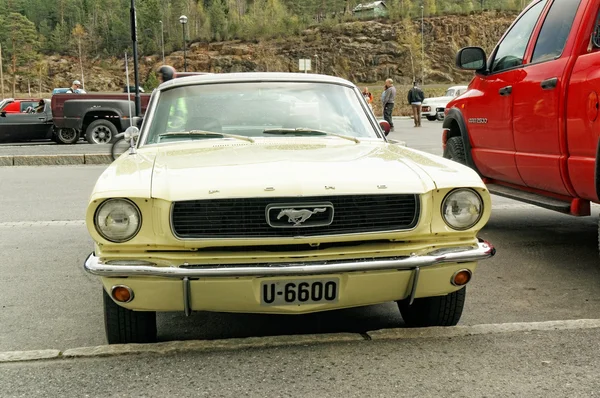 Ford σε απαλό κίτρινο — Φωτογραφία Αρχείου