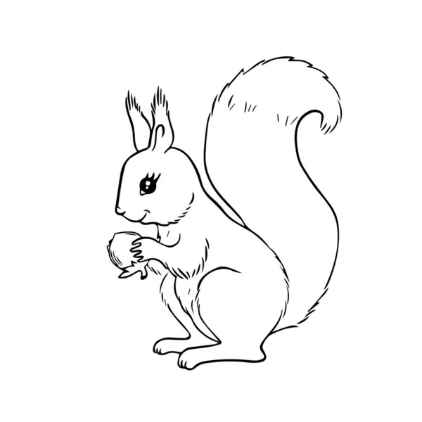 Cute squirrel with a nut in its paws for coloring page or book. Cartoon wild animal character. Black and white illustration. — Wektor stockowy