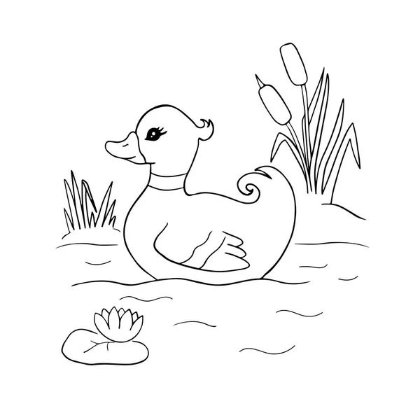 Boyama sayfası ya da kitap için gölde yüzen sevimli çizgi film ördeği. Hayvan karakterinin siyah ve beyaz ana hatları. Telifsiz Stok Illüstrasyonlar