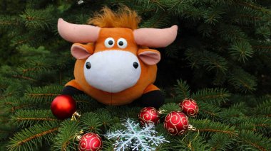 Yeşil ladin arka planında yumuşak bir oyuncak boğa. Noel ağacı kırmızı toplarla süslenmiştir. 2021 yılının sembolü olarak boğa. Yeni yıl, Noel.
