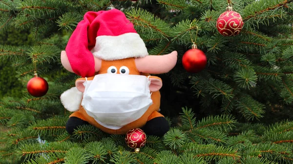 A soft toy bull in a medical mask and a Santa Claus hat against the background of a green fir tree. The bull as a symbol of the new year 2021. New Year and Christmas during the coronavirus pandemic.