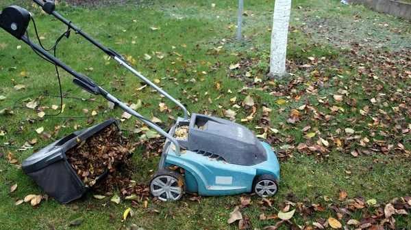An open lawn mower container filled with clipped grass and leaves. A modern electric lawn mower on an unmown lawn with fallen leaves. Autumn work in the garden.