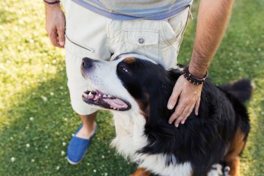 Adam büyük bir köpek okşayarak