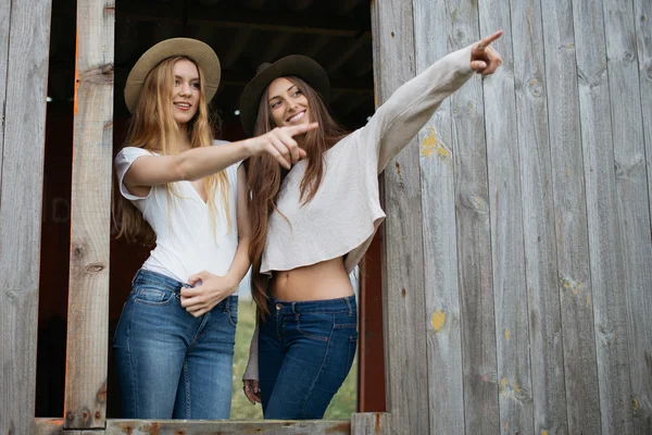 Két fiatal és szép lány — Stock Fotó