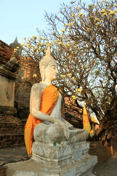 Buddha-Bild von Thailand — Stockfoto