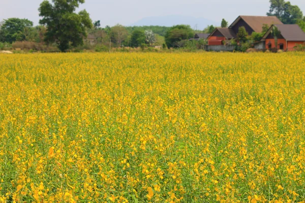 Gearchiveerde landschap-achtergrond — Stockfoto