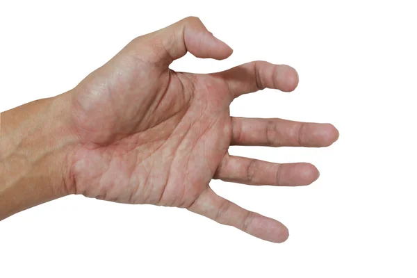 Mão e palma da pele de cor asiática no fundo branco — Fotografia de Stock