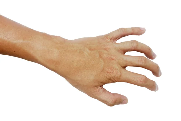 Hand och palm Asien färg hud på den vita bakgrunden — Stockfoto