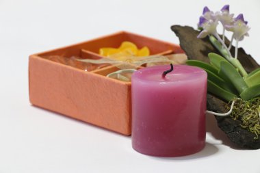 Spa mum beyaz zemin üzerine