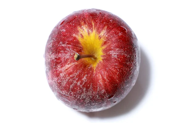 Beyaz arka plan üzerinde damla su ile elma — Stok fotoğraf