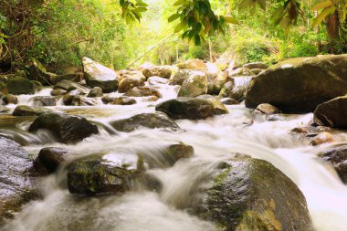 Dağ güneş günü öğleden sonra ağaç gölgesi altında şelale. Su Güz Tayland