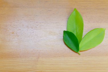 Yaprak doku deseninin ahşap arka plan üzerinde