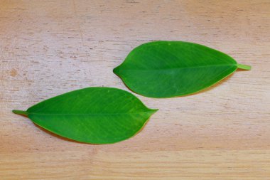 Yaprak doku deseninin ahşap arka plan üzerinde