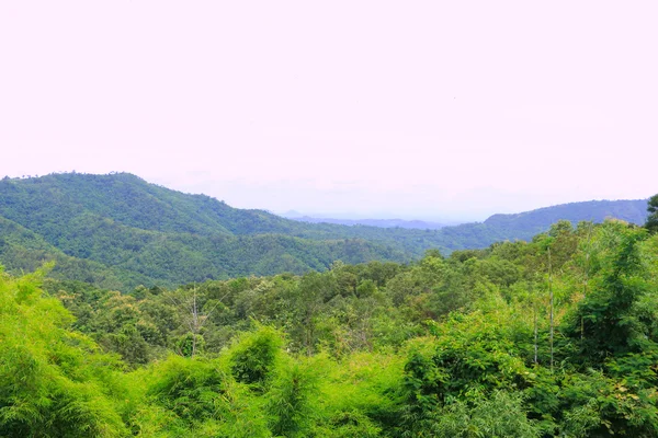 Sis kapağında sabah saat dağda, Phu Ruea Milli Parkı - Natual seyahat konum: Loei, Thailand — Stok fotoğraf