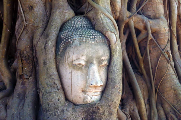 Budha görüntü — Stok fotoğraf